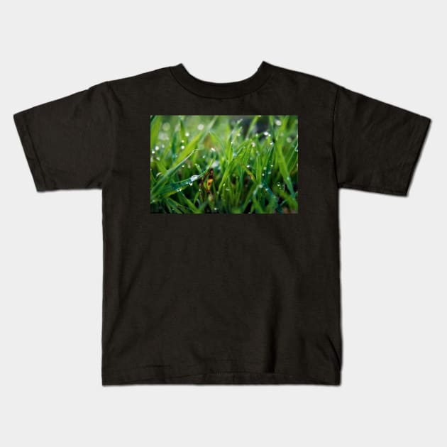 Dew Drop Grass Kids T-Shirt by InspiraImage